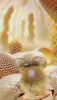 Honeyed Fantasy by Pendora Scents EDP 100ml